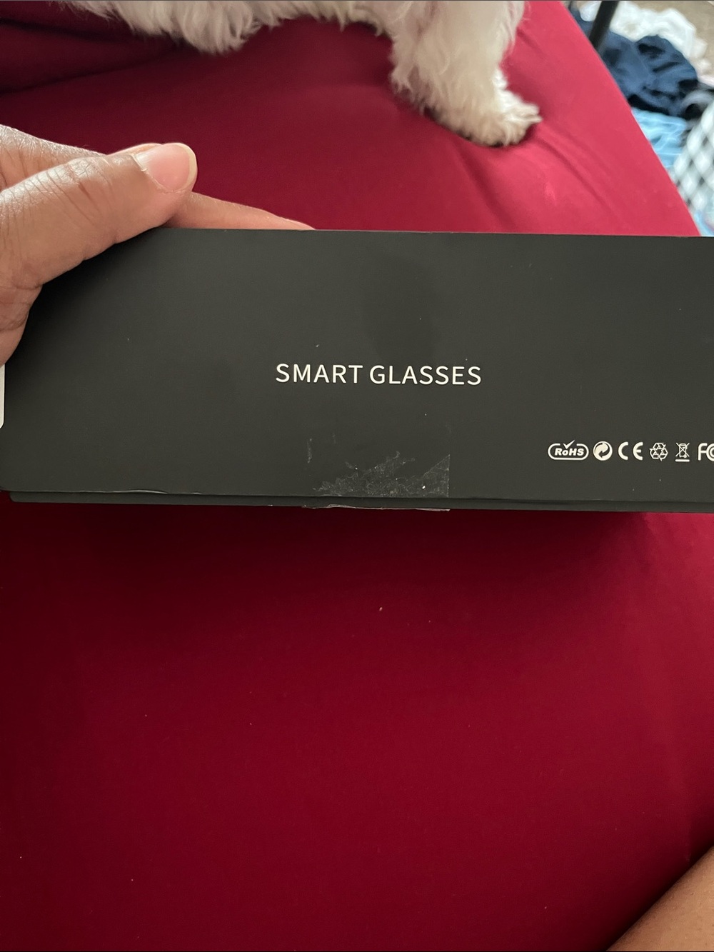 Smart Glasses - Black